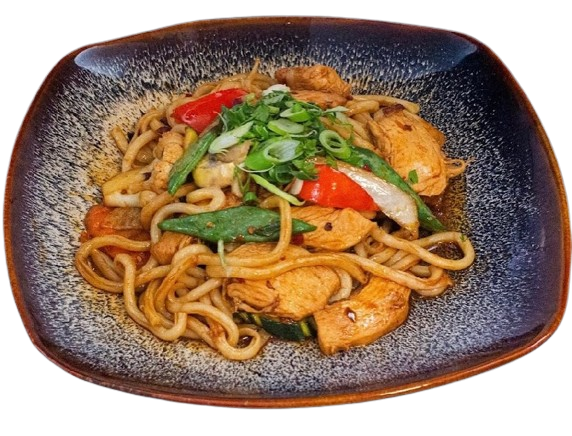 Udon-Nudeln